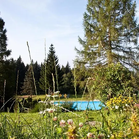 Casa de hóspedes Waldschenke