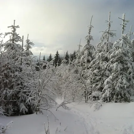 Waldschenke Bad Leonfelden
