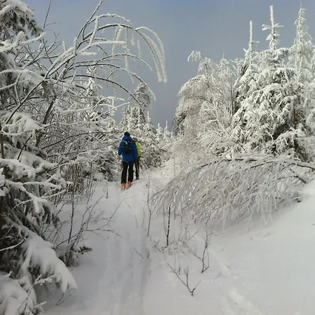 Waldschenke Casa de hóspedes