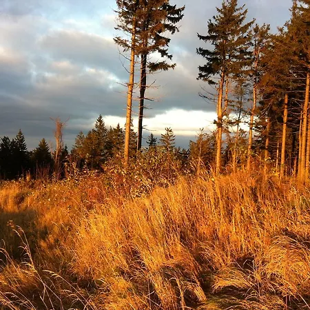 Гостевой дом Waldschenke Бад-Леонфеьлден