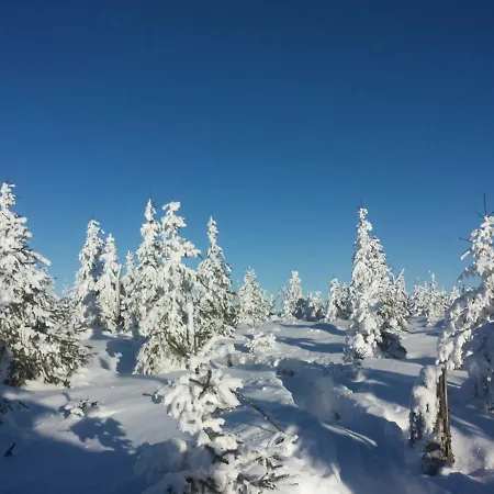 Waldschenke Gasthof *