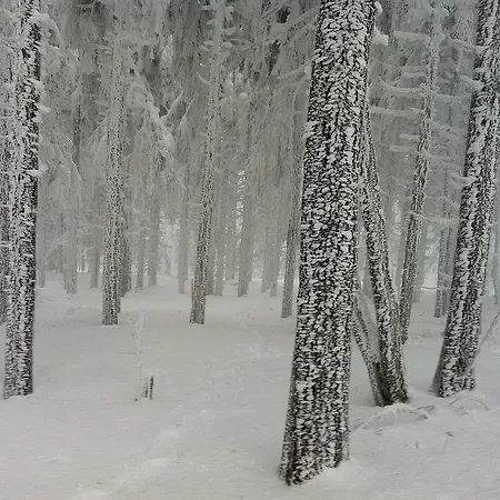 Gasthof Waldschenke *
