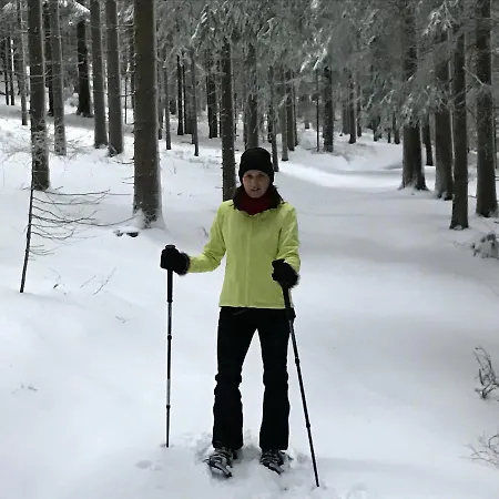 Waldschenke Gasthof Bad Leonfelden