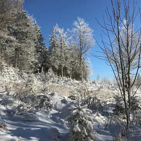 Casa de hóspedes Waldschenke