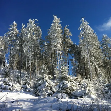 Waldschenke Bad Leonfelden