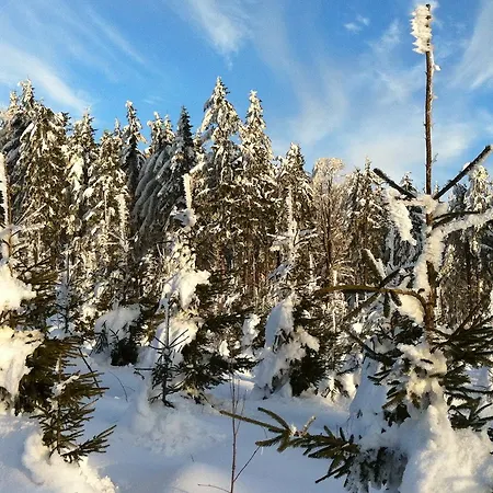 Waldschenke Pensjonat