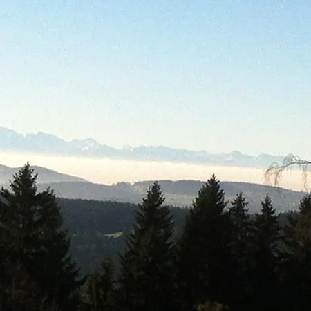 Gasthof Waldschenke *