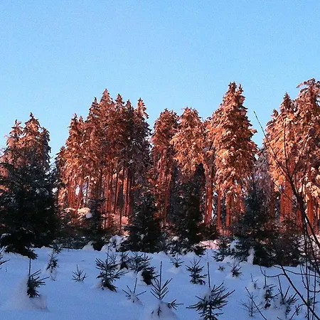 Гостевой дом Waldschenke