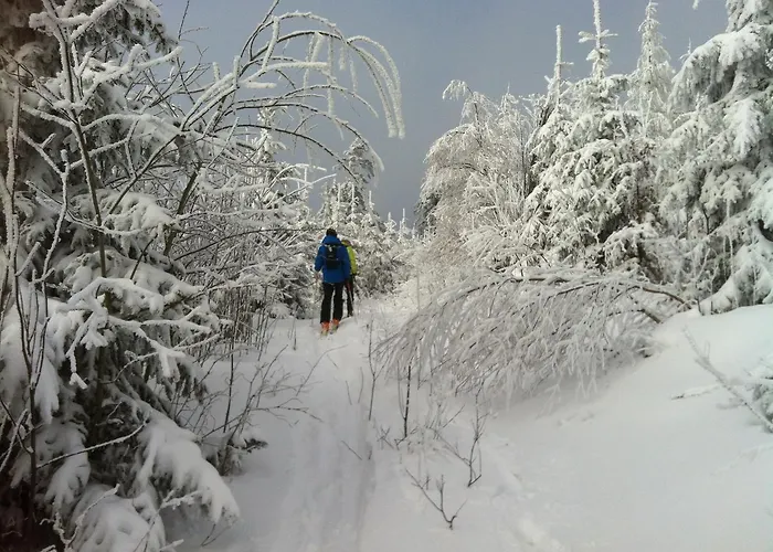 Waldschenke Guest house