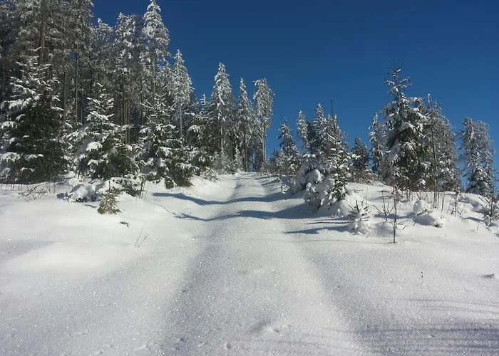 Waldschenke Guest house 3*