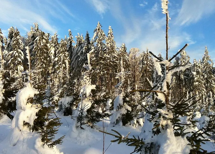 Waldschenke ゲストハウス