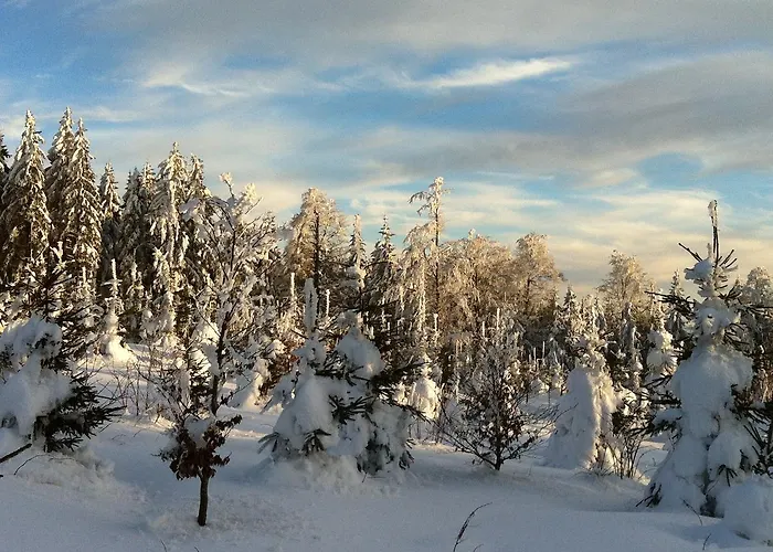 ゲストハウス Waldschenke 3*