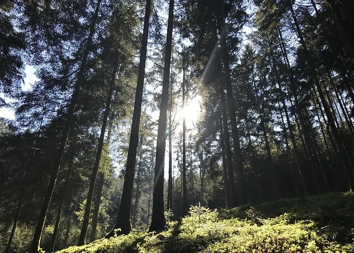 Waldschenke Guest house Bad Leonfelden