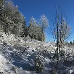 Waldschenke 4*