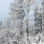 Waldschenke Penzion 4*