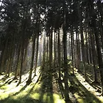 Waldschenke Penzion