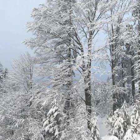 Waldschenke Gæstehus 4*