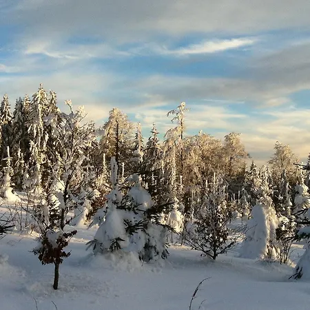 Gæstehus Waldschenke 4*