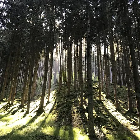 Waldschenke Gæstehus