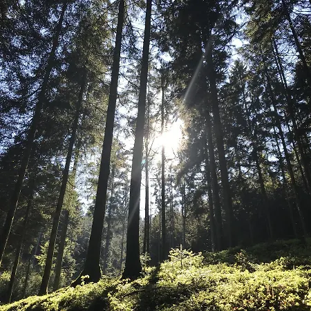 Waldschenke Gæstehus Bad Leonfelden
