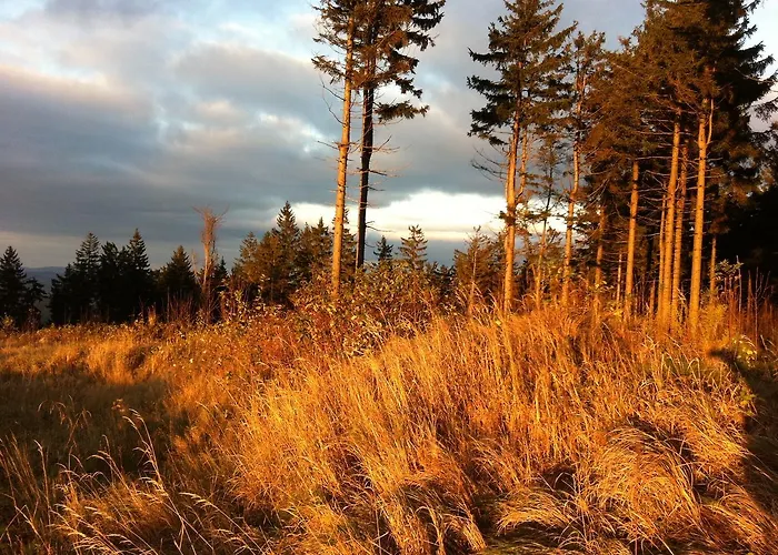 Pensjonat Waldschenke Bad Leonfelden