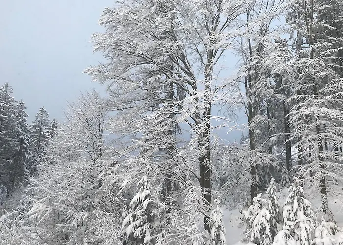 Waldschenke Pensjonat 3*