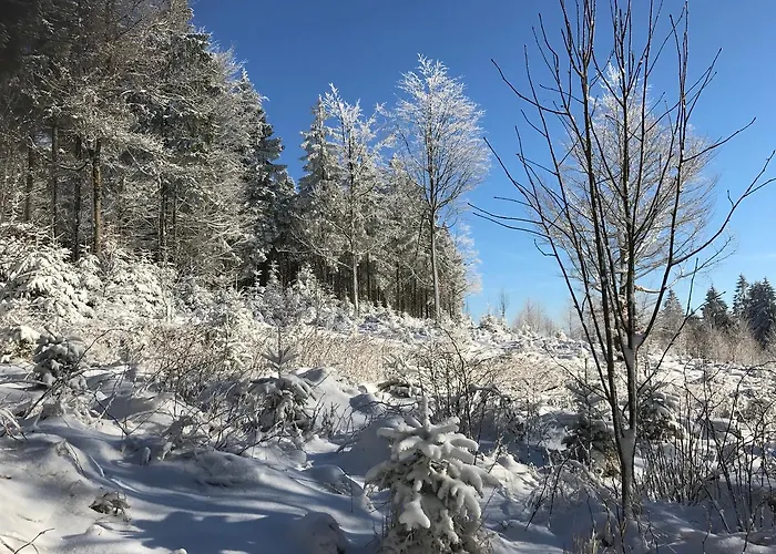 Pensjonat Waldschenke