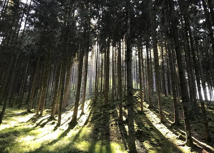 Waldschenke Pensjonat