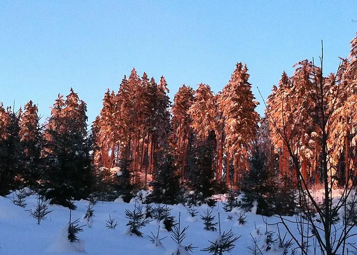 Pensjonat Waldschenke